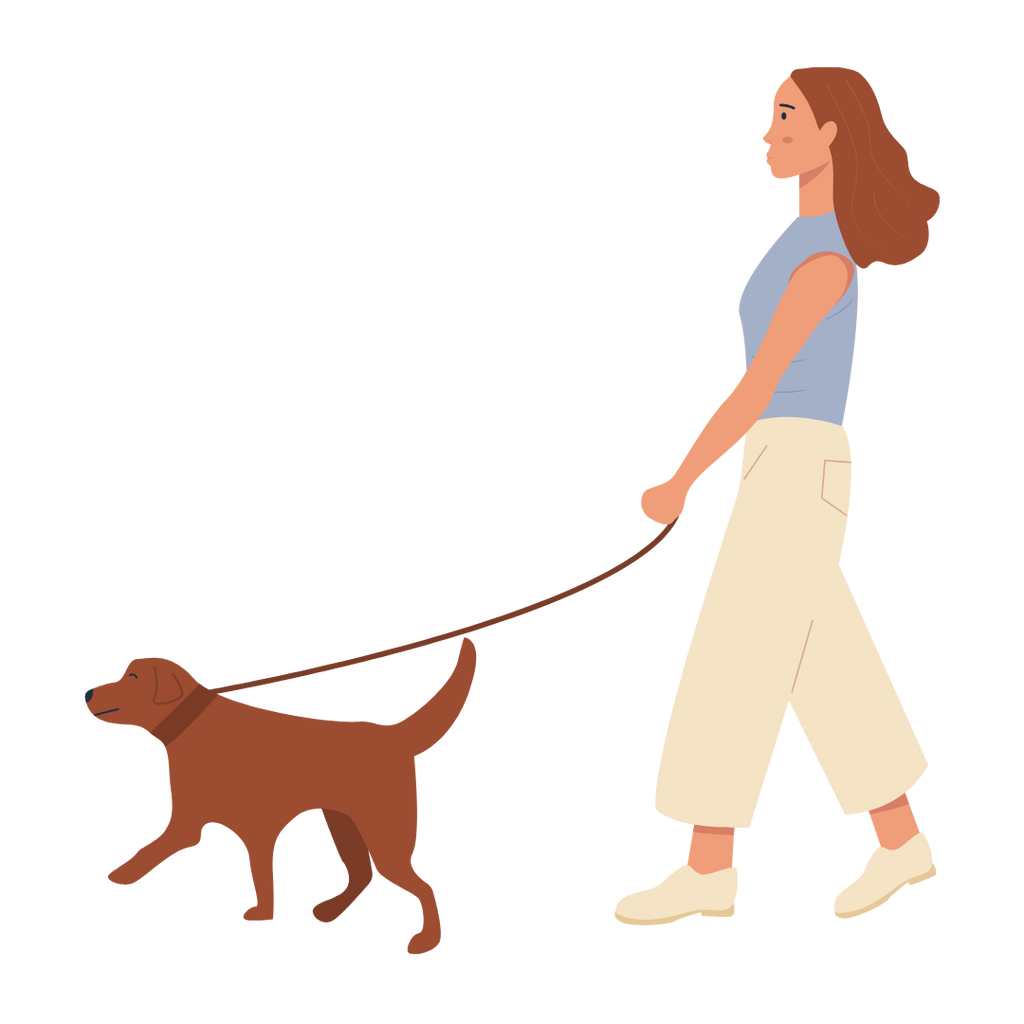 how long should your dog walks be