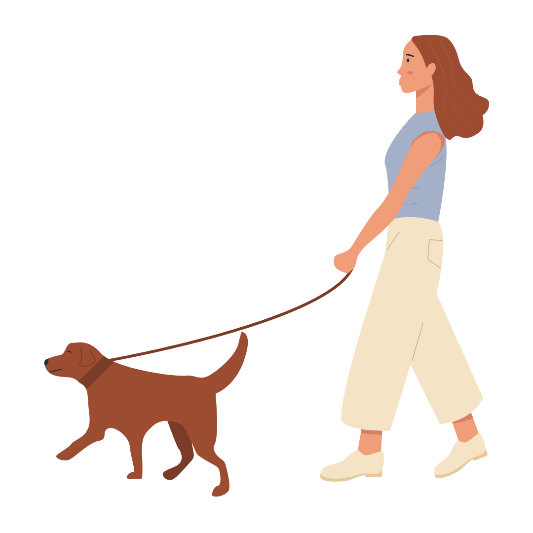 How Long Should You Walk Your Dog For Archie Alfred how-long-should-you-walk-your-dog-for-archie-alfred