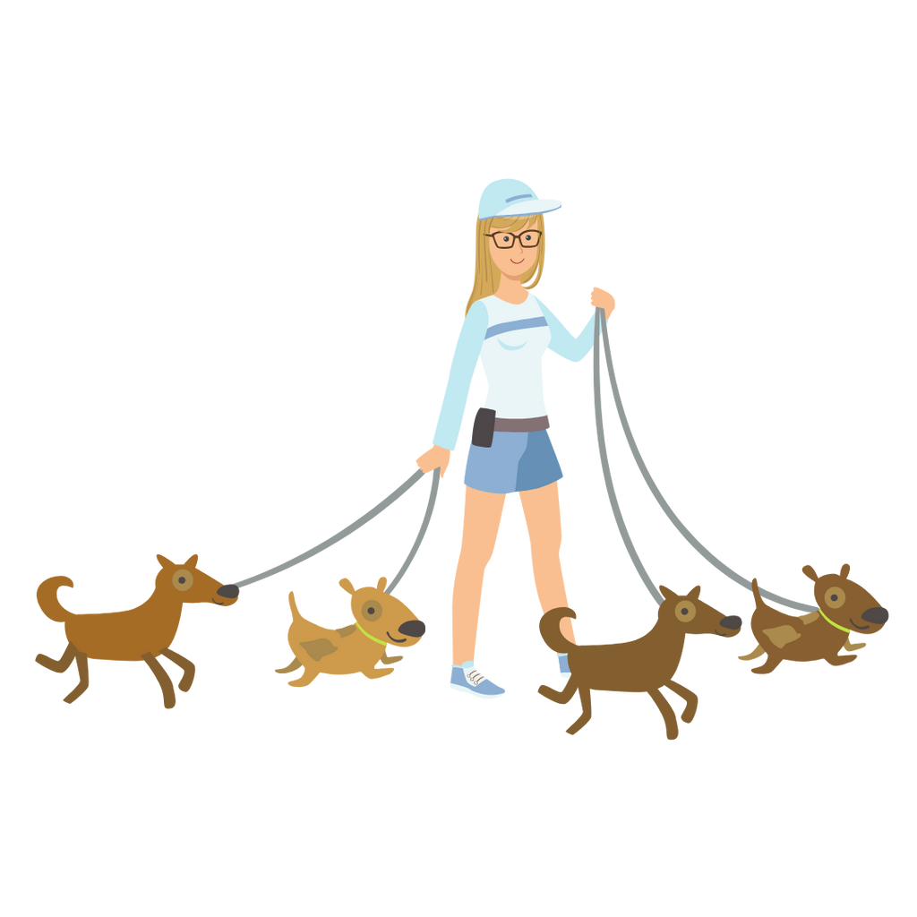 How to leash train your dog 