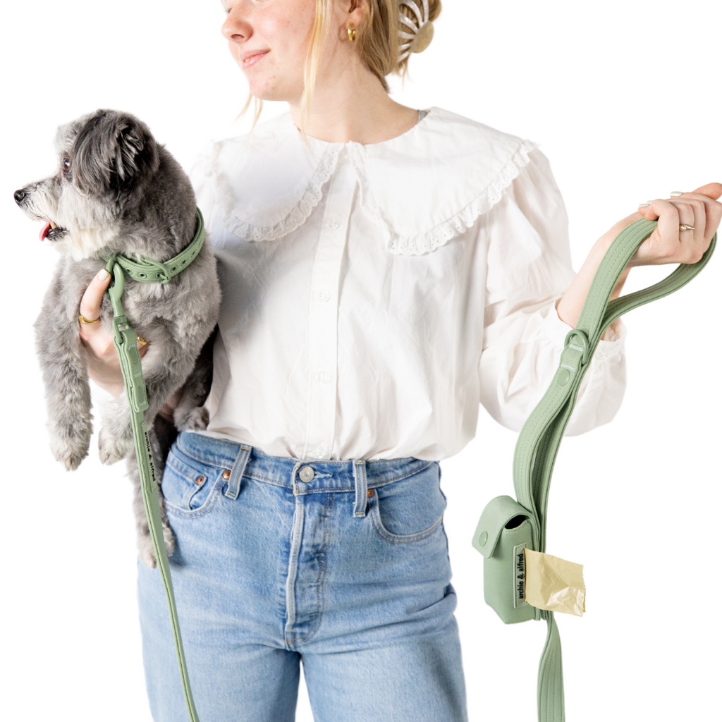 heavy duty dog leash for large dogs