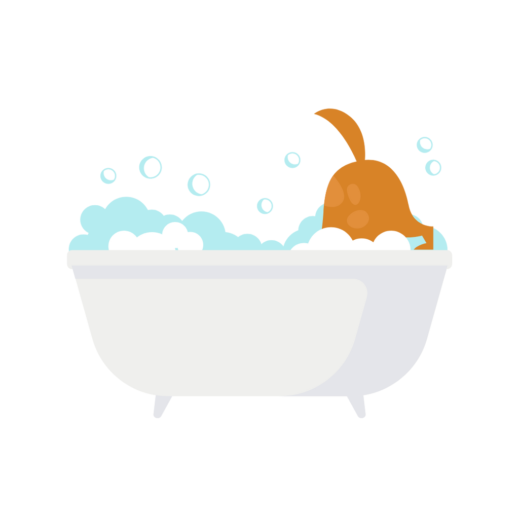 How Often Should You Give Your Dog A Bath