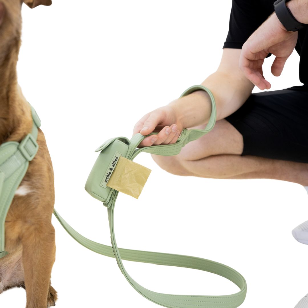 Dog leash with clearance bag holder