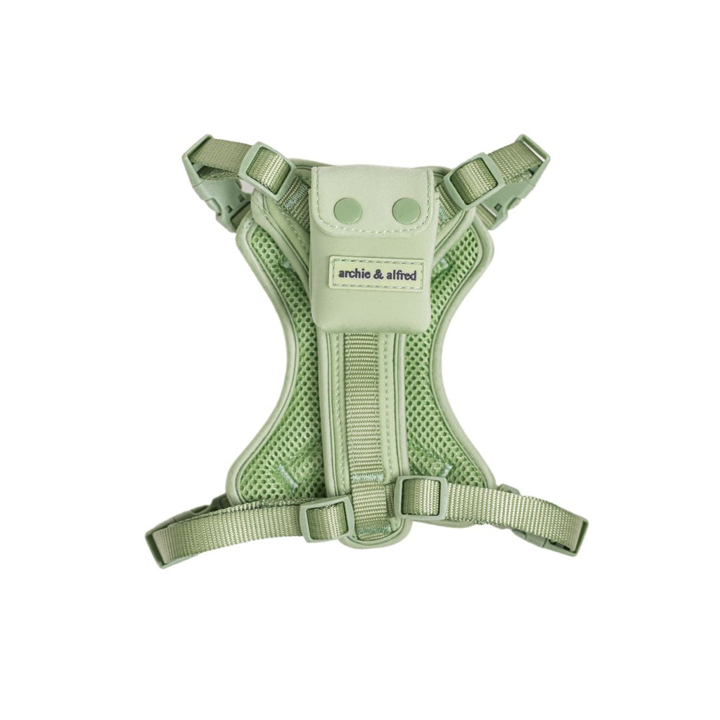 dog harness with mini dog backpack 