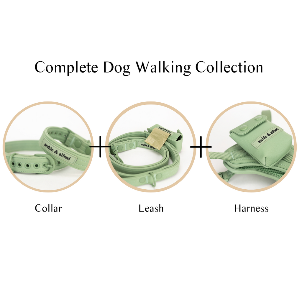 Complete dog walking set